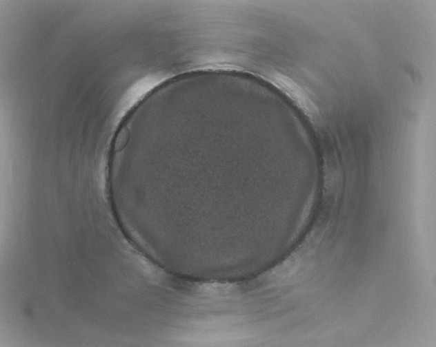 X0000115341277200911231425