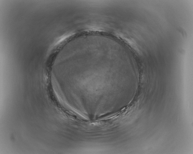 X0000115341303200911231424