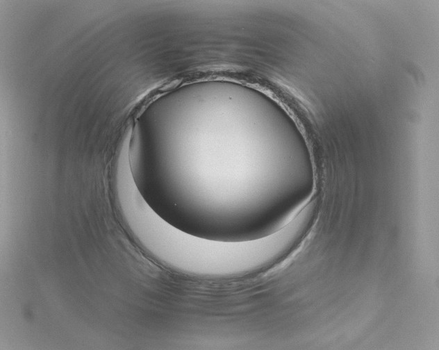 X0000115341305200911231424