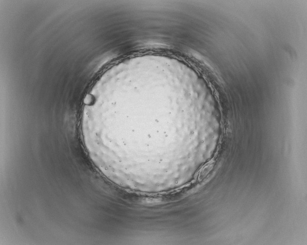 X0000115341313200911231424