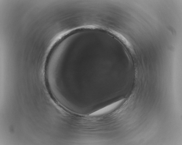 X0000115341327200911231424