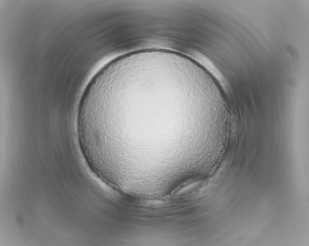 X0000115341339200911231424