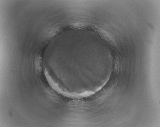 X0000115341346200911231424