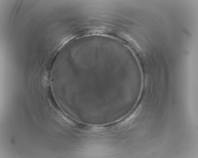 X0000115341353200911231424