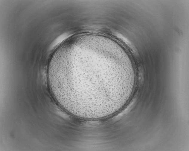 X0000115341354200911231424