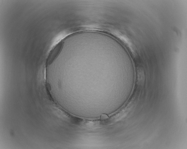 X0000115341365200911231424