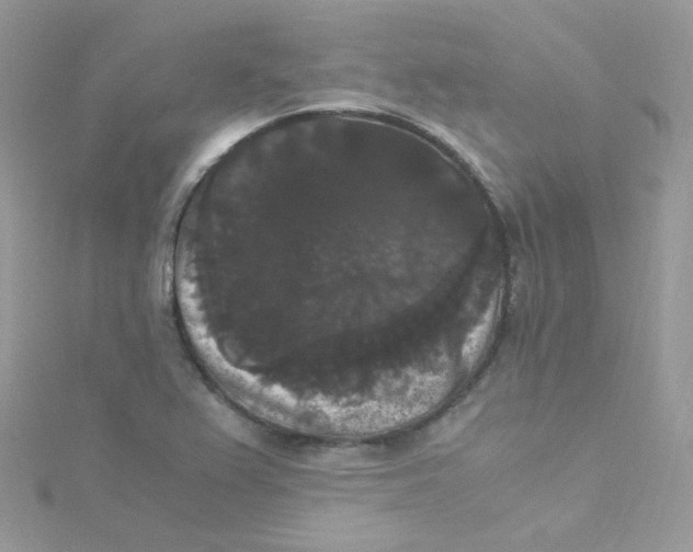 X0000115341367200911231424