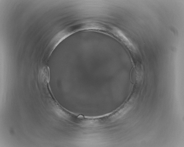 X0000115341369200911231424