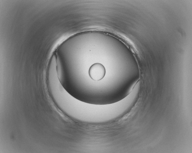 X0000115341373200911231423