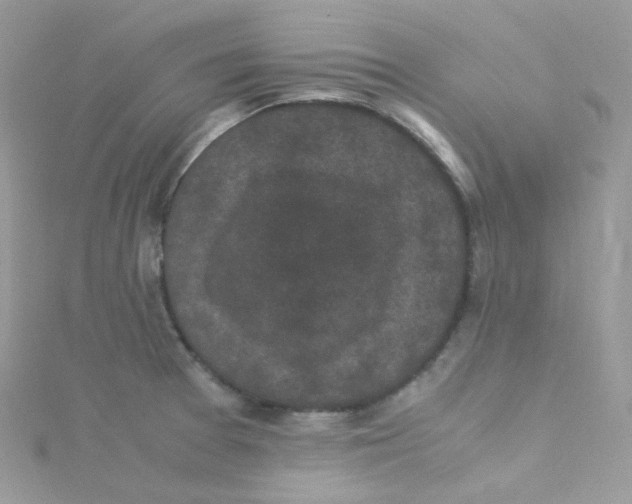 X0000115341377200911231423