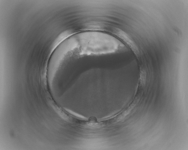 X0000115341378200911231423
