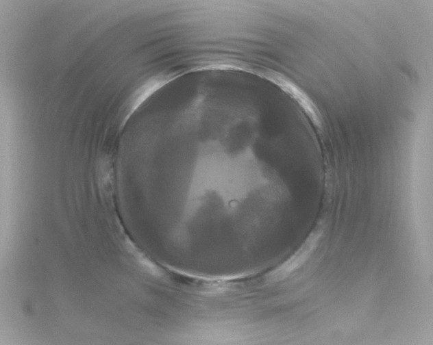X0000115341385200911231423