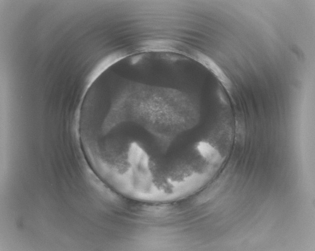 X0000115341386200911231423