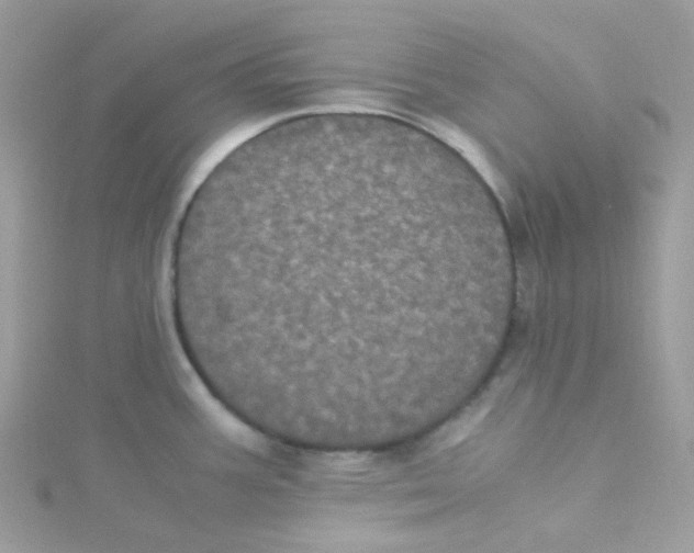 X0000115341387200911231423