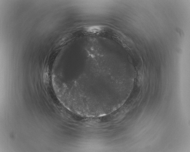 X0000115341394200911231423
