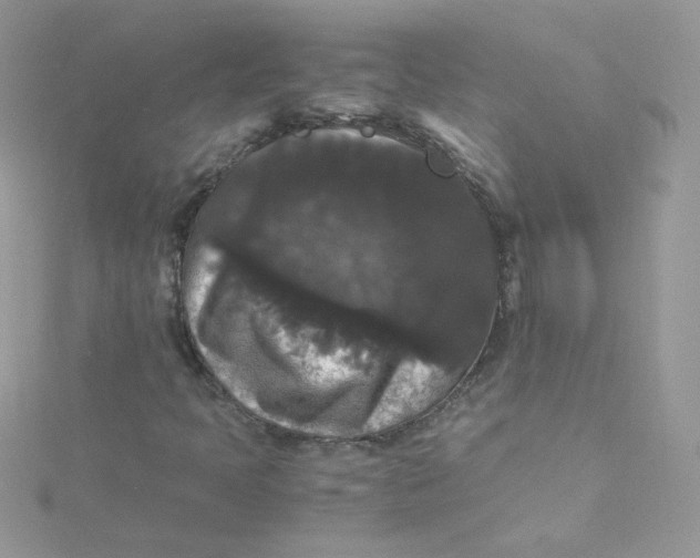 X0000115341397200911231423