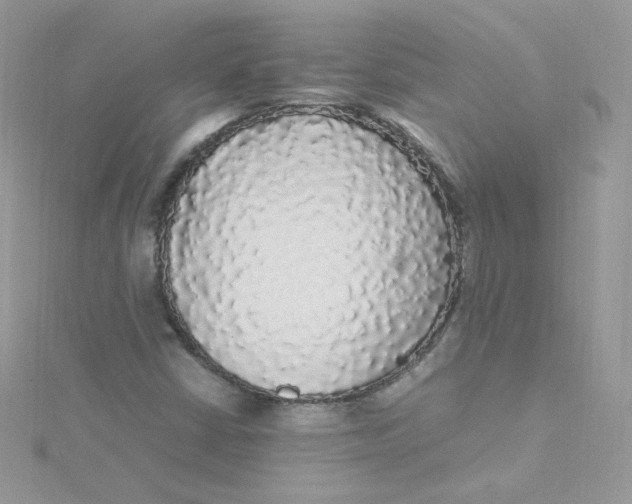 X0000115341402200911231423