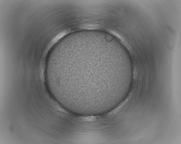 X0000115341410200911231423
