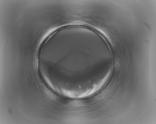 X0000115341414200911231423