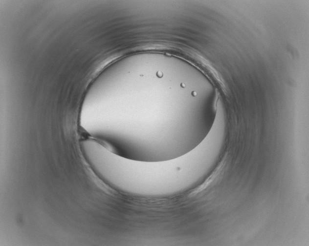 X0000115341417200911231423