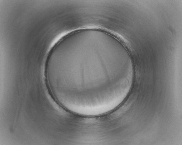 X0000115341422200911231423