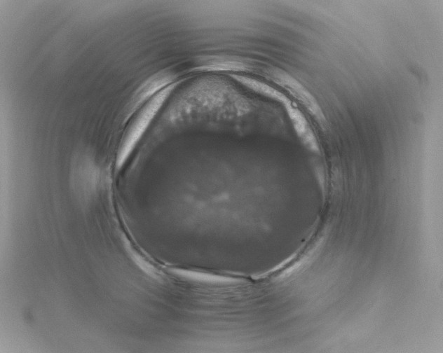 X0000115341425200911231423