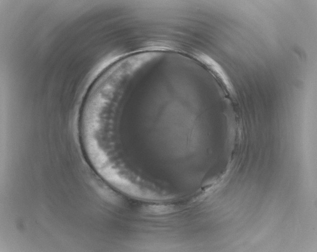 X0000115341427200911231423