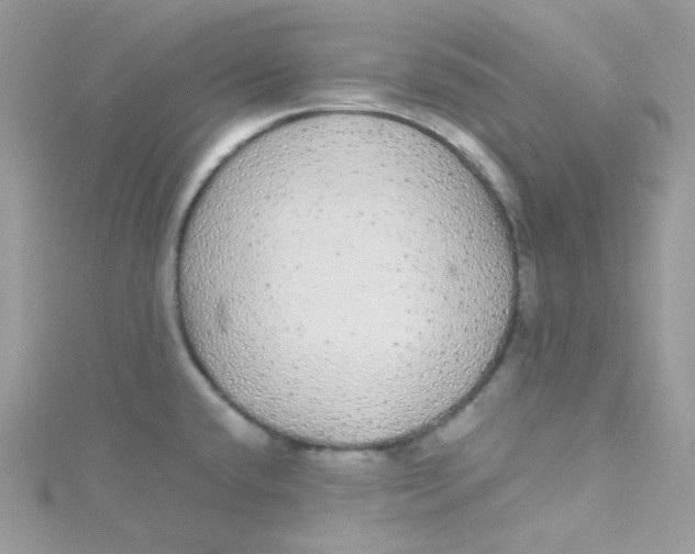 X0000115341432200911231423
