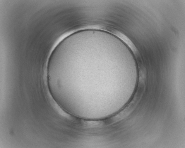 X0000115341436200911231423