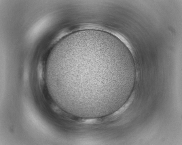 X0000115341438200911231423