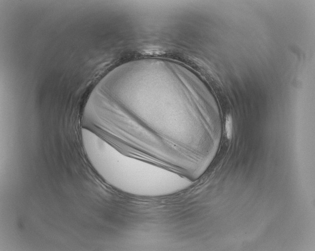 X0000115341444200911231423