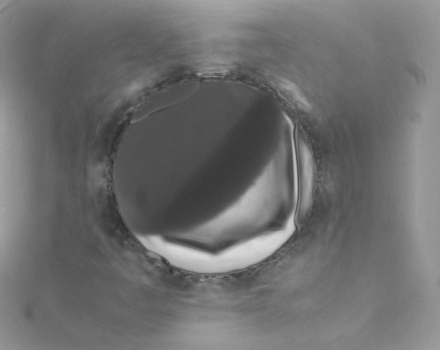 X0000115341445200911231423
