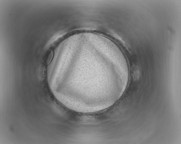 X0000115341448200911231423