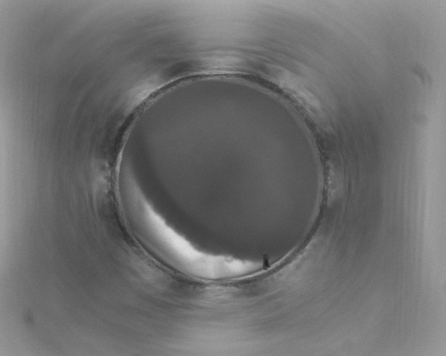 X0000115341449200911231422