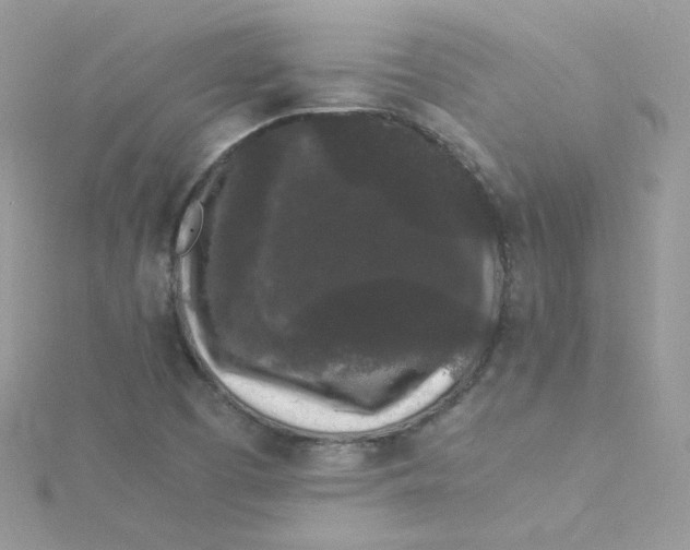 X0000115341457200911231422