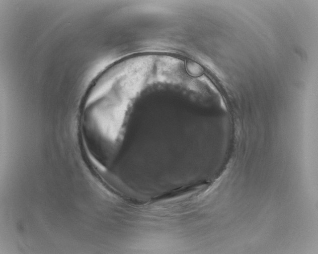X0000115341463200911231422