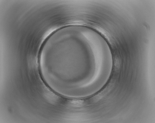 X0000115341466200911231422