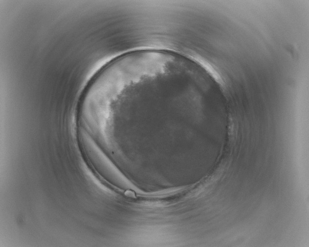 X0000115341468200911231422