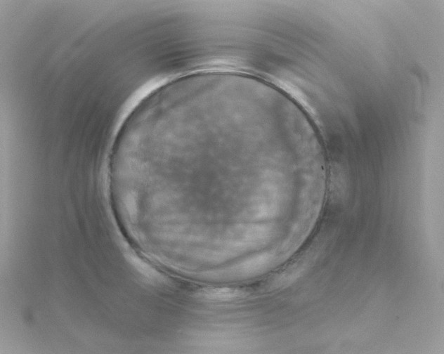 X0000115341474200911231422