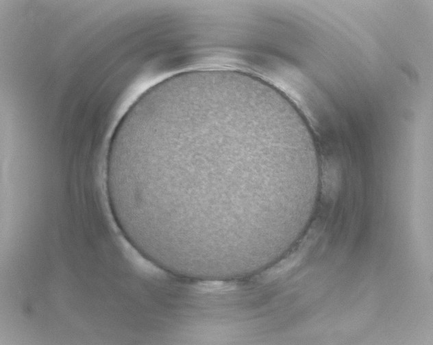 X0000115341478200911231422