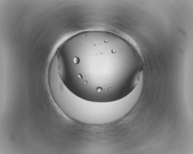 X0000115341480200911231422