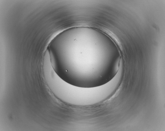 X0000115341481200911231422