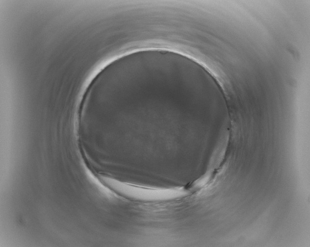 X0000115341527200911231422