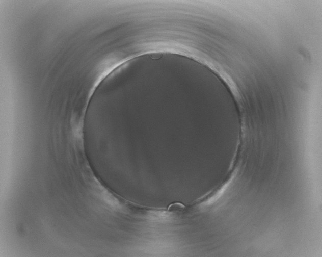 X0000115341529200911231422