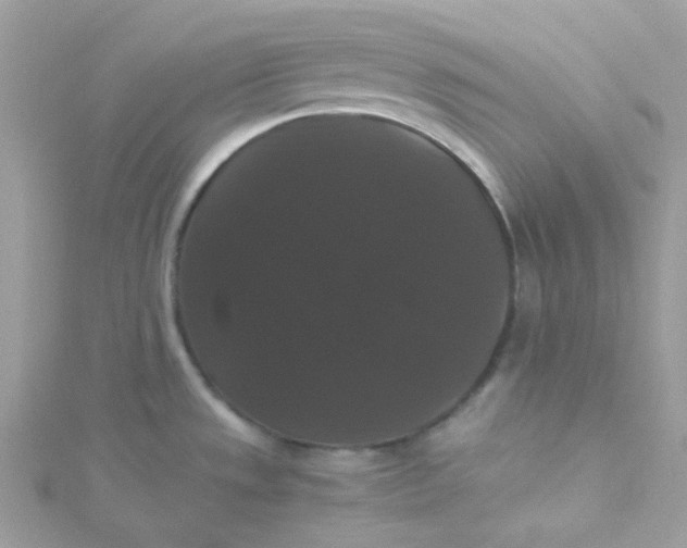 X0000115341533200911231422