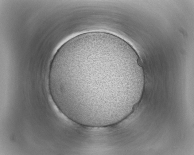 X0000115341534200911231422