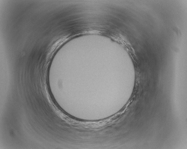 X0000115340001200911301557