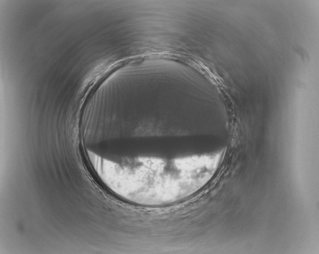 X0000115340002200911301557