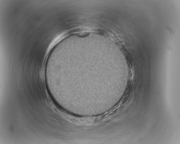 X0000115340004200911301557