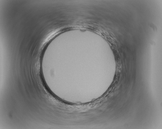 X0000115340005200911301557